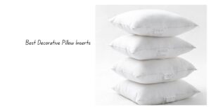 Read more about the article Best Decorative Pillow Inserts